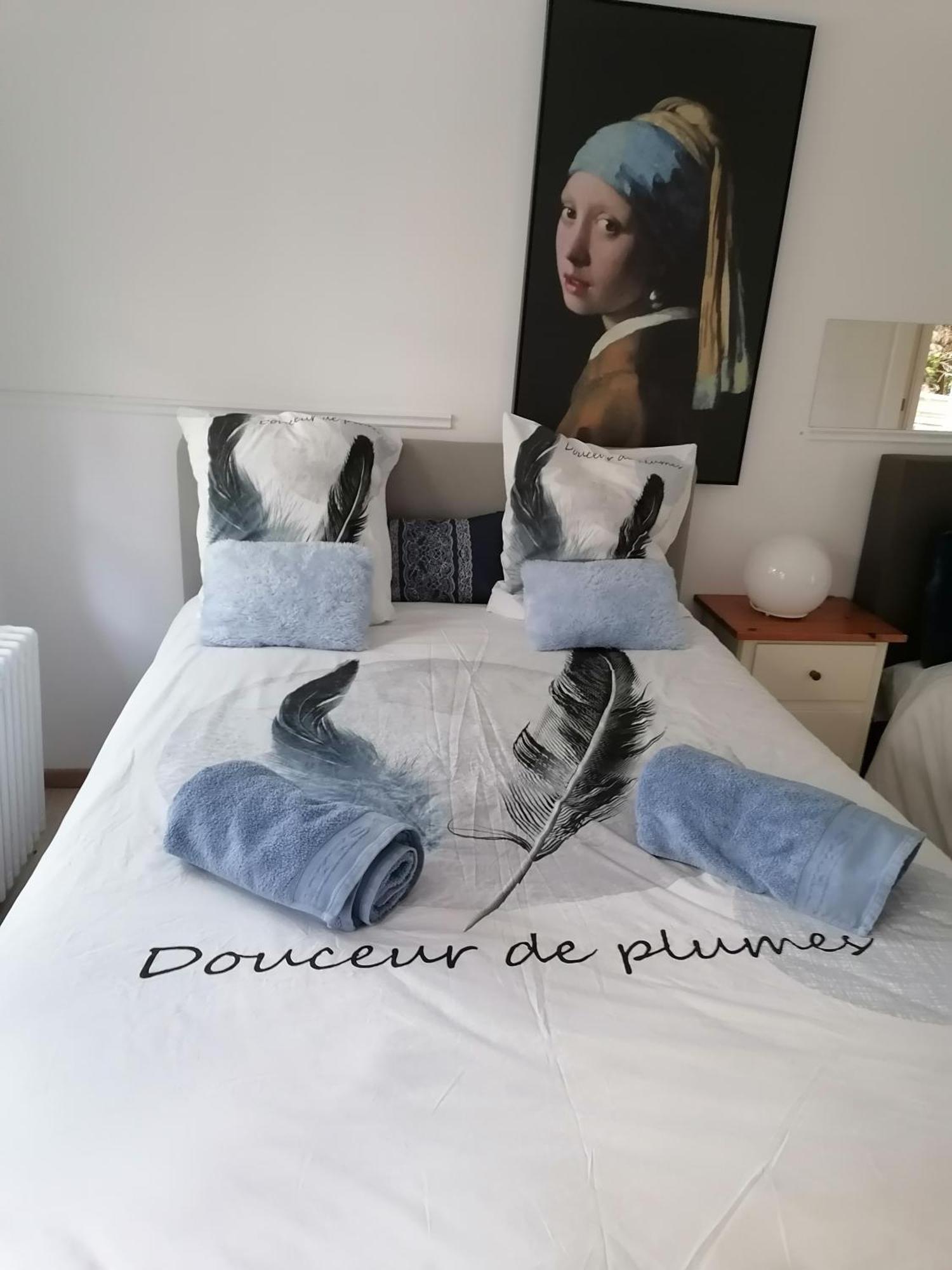 Les Studios Du Domaine D'Eva Либрамон Номер фото